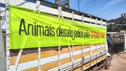 ‘desalojados-pela-stock-car’:-ufmg-inicia-transferencia-de-animais-por-causa-de-corrida