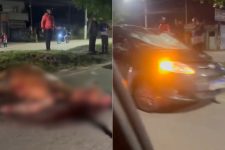 cavalo-e-atropelado-por-carro-e-morre-em-avenida-de-sao-vicente,-sp