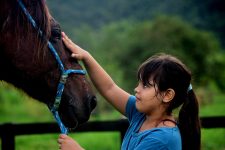 cavalos-abandonados-cuidados-por-detentos-ajudam-no-tratamento-de-criancas-da-apae-com-equoterapia-dentro-de-presidio-do-es