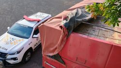 policia-rodoviaria-apreende-mais-de-350-mil-macos-de-cigarros-sem-nota-fiscal-na-sp-270-em-candido-mota