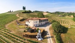 terra-de-barolo-e-barbaresco,-piemonte-tambem-produz-grandes-brancos