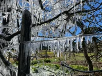 congelou-tudo!-urubici-registra-sensacao-termica-de-21°c-e-agua-encanada-vira-gelo