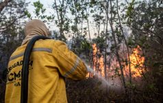 incendios-florestais-no-df-aumentam-91%-em-julho-de-2024;-veja-regioes-mais-atingidas