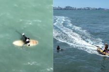 surfista-e-flagrado-por-drone-pedindo-ajuda-apos-ser-arrastado-por-corrente-de-retorno-no-litoral-de-sp;-video