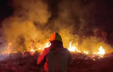 incendio-em-vegetacao-quase-atinge-casas-no-interior-do-amazonas