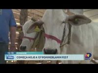 comeca-hoje-a-13a-pomerlamm-fest