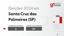 eleicoes-2024-em-santa-cruz-das-palmeiras-(sp):-veja-os-candidatos-a-prefeito-e-a-vereador