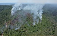 incendio-de-grandes-proporcoes-destroi-mais-de-180-hectares-da-floresta-nacional-de-carajas,-no-para