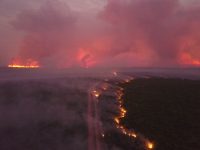 ‘parede-de-fogo’:-incendio-sem-controle-avanca-em-area-de-cerrado-em-mt-e-destroi-vegetacao;-veja-video