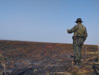 homem-perde-o-controle-de-fogo-em-lixo-e-incendio-destroi-quase-70-hectares-de-pastagens-em-fazendas-em-rosana