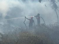 incendio-atinge-terreno-baldio,-na-avenida-ana-jansen,-em-sao-luis