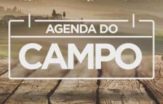 agenda-do-campo-da-semana-tem-exposicoes,-shows-e-caminhadas-na-natureza