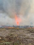 video:-redemoinho-de-fogo-aumenta-incendio-sem-controle-em-area-de-cerrado-em-mt