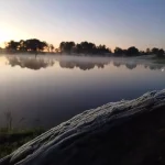 fim-de-semana-gelado!-frio-intenso-traz-formacao-de-geadas-em-sc