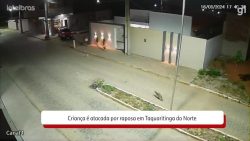 video:-crianca-e-atacada-por-raposa-em-taquaritinga-do-norte