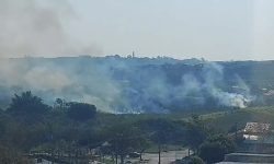 incendio-em-vegetacao-atinge-area-de-5-mil-m²-em-sao-jose-dos-campos