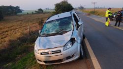 cavalo-morre-e-outro-fica-ferido-apos-serem-atropelados-por-onibus-e-carro-em-campina-do-monte-alegre