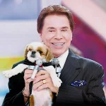 de-poodle-a-lhasa-apso:-conheca-os-cachorros-que-silvio-santos-teve