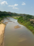 video:-na-fronteira-do-acre-com-o-peru,-seca-extrema-possibilita-atravessar-rio-a-pe