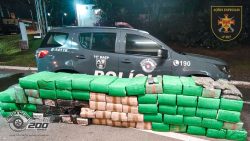 policia-apreende-1,5-tonelada-de-maconha-em-salto-e-prende-suspeito-de-trafico