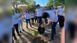 projeto-de-escola-cearense-combate-devastacao-da-caatinga-e-e-premiado-em-competicao-internacional;-conheca