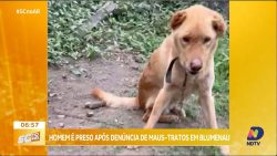 homem-e-preso-apos-denuncias-de-maus-tratos-em-blumenau