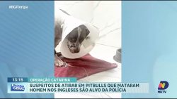 policia-civil-realiza-acao-contra-suspeitos-de-atirar-em-pitbulls-que-mataram-homem-nos-ingleses