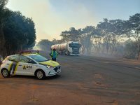 incendio-de-grandes-proporcoes-atinge-area-de-vegetacao-natural-no-acesso-da-rodovia-arlindo-bettio,-em-rosana