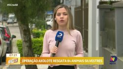 megaoperacao-axolote-resgata-84-animais-silvestres-em-tres-estados