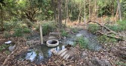 moradora-sofre-com-mau-cheiro-de-esgoto-lancado-em-ribeirao-que-desagua-no-rio-piracicaba:-‘insuportavel,-nao-da-pra-ficar-em-casa’