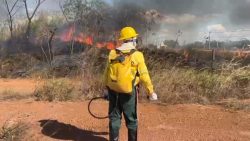 governo-de-rondonia-proibe-uso-de-fogo-para-combater-queimadas