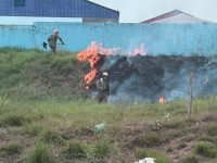 acre-ultrapassa-1,7-mil-focos-de-queimada-em-agosto-e-feijo-se-mantem-como-municipio-com-mais-incendios