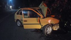 homem-morre-ao-bater-carro-contra-arvore-na-rj-145,-em-valenca