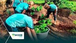 sicoob-credip-apoia-projeto-que-leva-educacao-empreendedora-a-escolas-rurais