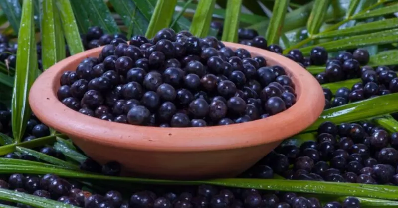 açaí dentro do pote