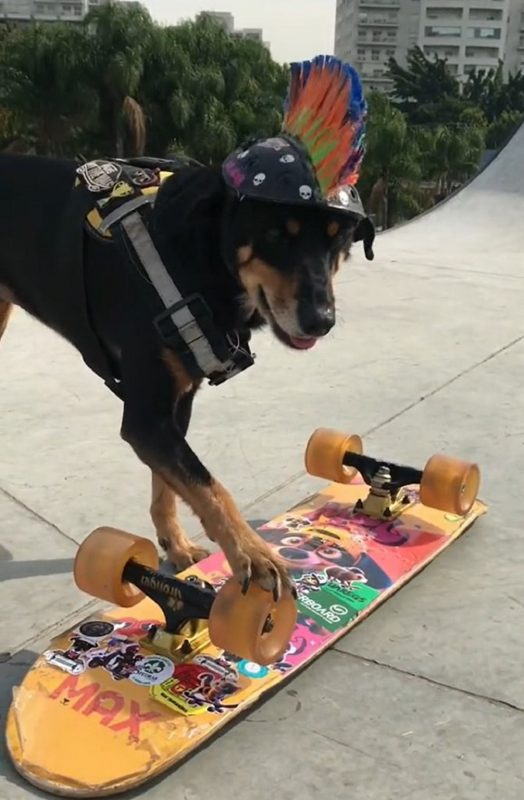 Mel com capacete e segurando seu skate 