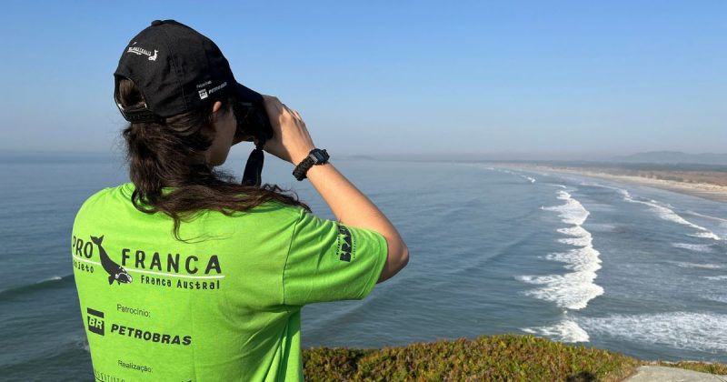 Curso para guias e profissionais do turismo de baleias está com inscrições abertas em SC