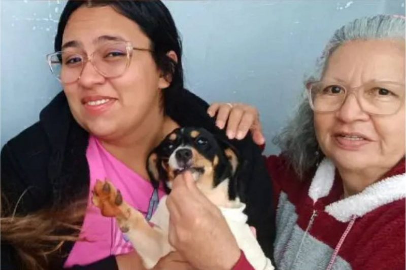 Família venezuelana e cachorrinha estão entre as vítimas da queda do avião em Vinhedo