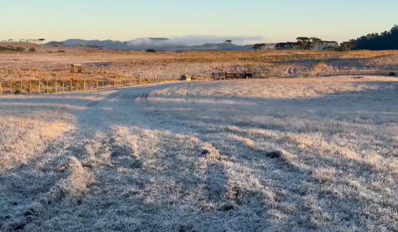 Serra catarinense pode registrar nova ocorrência de neve neste domingo