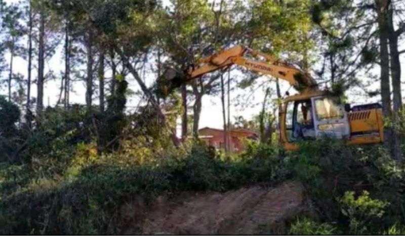 Em 2022, empresário usou equipamento pesado para limpeza de terreno e construção de imóveis irregulares