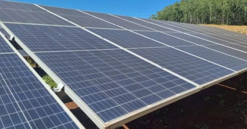 Fazenda Solar Nikola Tesla irá gerar energia limpa para 62 escolas do município