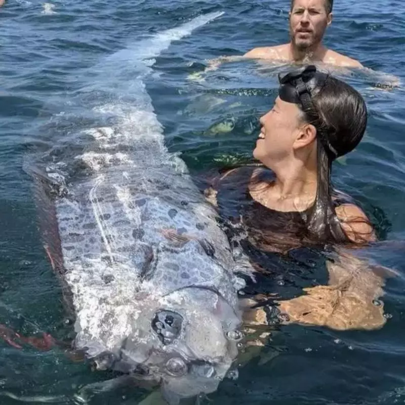 Peixe do juízo final aparece em praia e deixa alerta