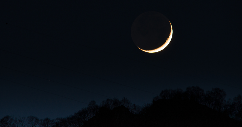 Lua com paisagem e folhas aparecendo