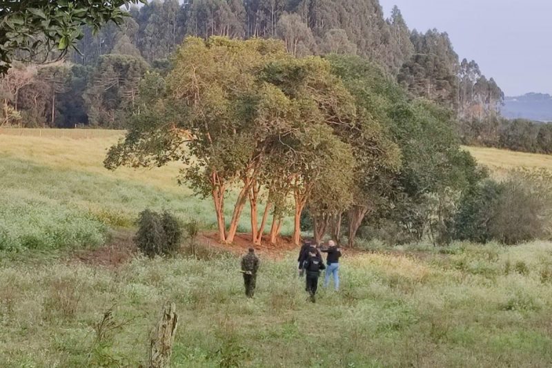 itaiópolis, roubo de armas