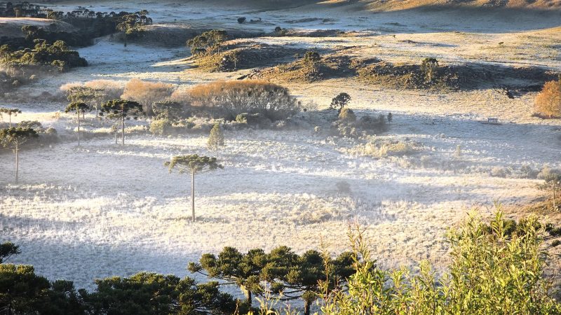 Paisagem coberta pela geada em São Joaquim, Santa Catarina