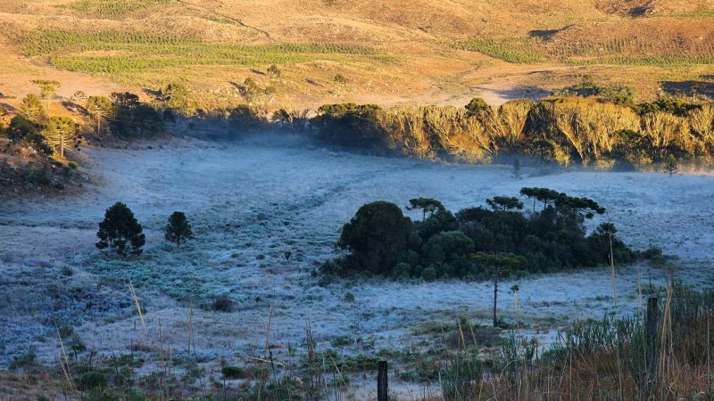 Geadas na Serra Catarinense ocorrem nas manhãs de sábado e domingo em SC