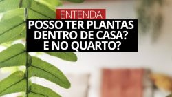 saiba-se-plantas-no-quarto-fazem-mal:-veja-o-que-diz-especialista