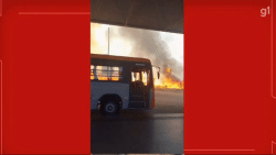 video:-motoristas-correm-para-tirar-onibus-de-perto-de-incendio-ao-lado-de-terminal-no-df