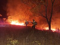 defesa-civil-de-sp-emite-novo-alerta-para-risco-de-queimadas-no-vale-do-paraiba-e-regiao-ate-domingo-(8)