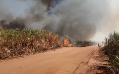 com-temperaturas-na-faixa-dos-36o-c,-defesa-civil-alerta-para-risco-de-queimadas-na-regiao-de-sorocaba